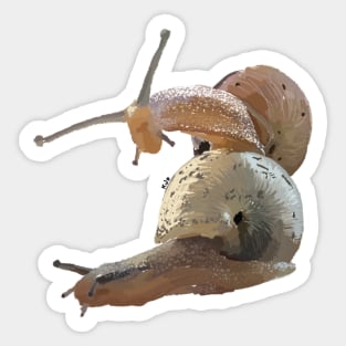 Snail friend Sticker